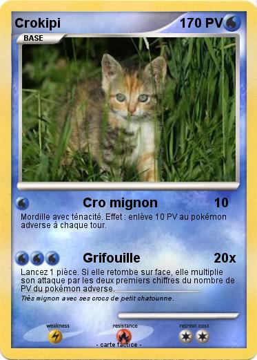Pokemon Crokipi