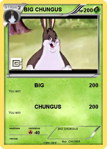 Pokemon BIG CHUNGUS