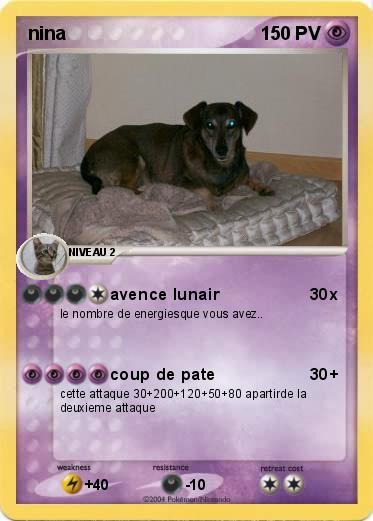 Pokemon nina