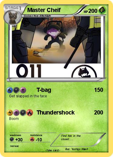 Pokemon Master Cheif