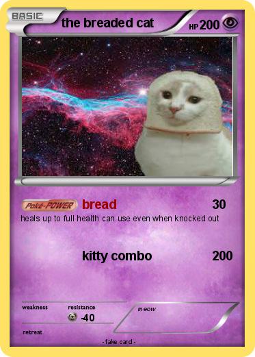 Pokemon the breaded cat