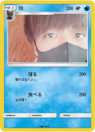 Pokemon 翔