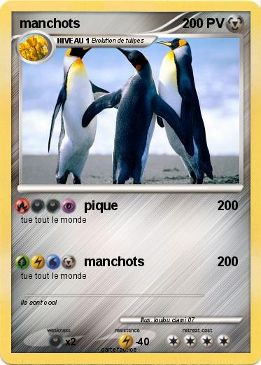 Pokemon manchots