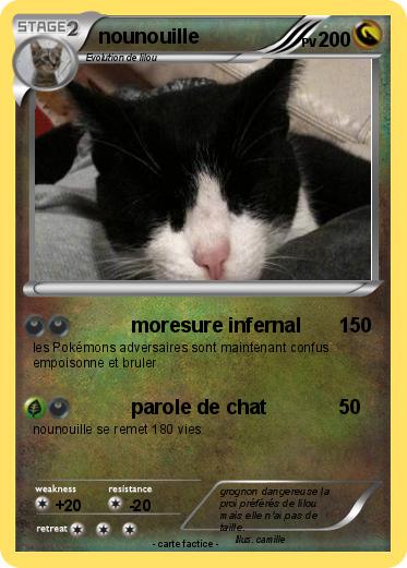 Pokemon nounouille