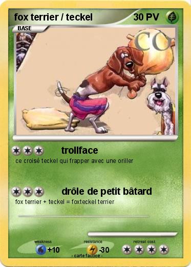 Pokemon fox terrier / teckel