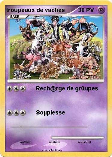 Pokemon troupeaux de vaches