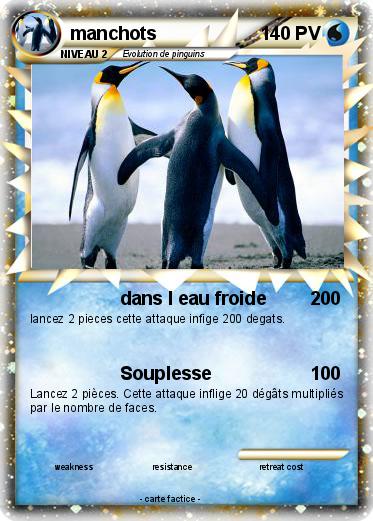 Pokemon manchots