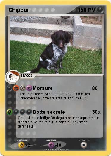 Pokemon Chipeur