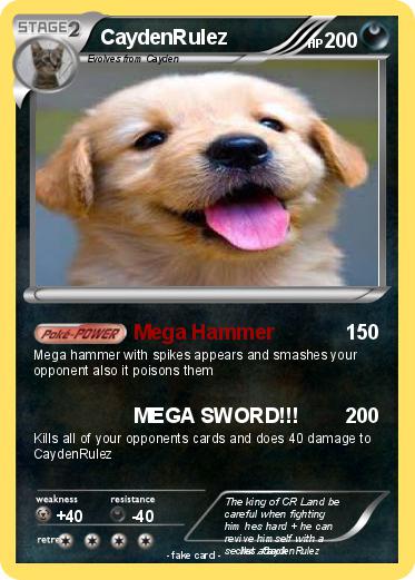 Pokemon CaydenRulez