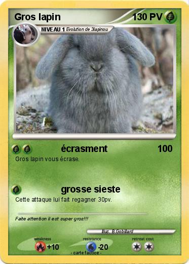 Pokemon Gros lapin