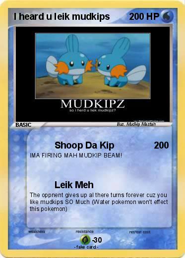 Pokemon I heard u leik mudkips