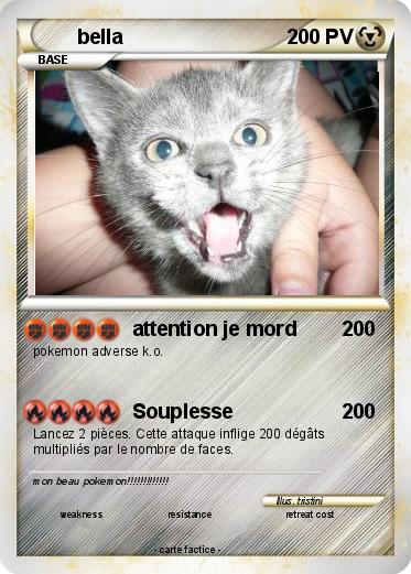 Pokemon bella