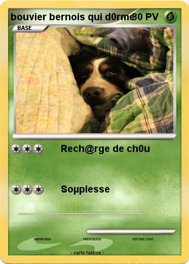Pokemon bouvier bernois qui d0rme