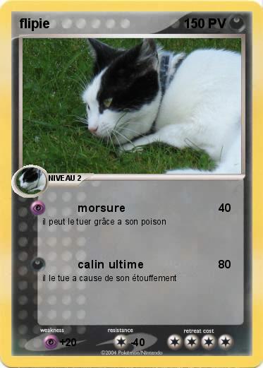 Pokemon flipie