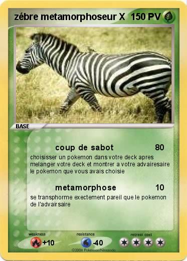 Pokemon zébre metamorphoseur X