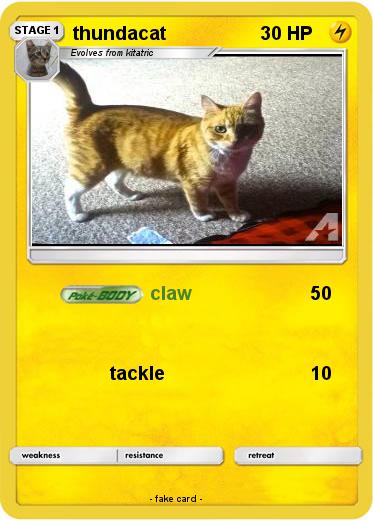 Pokemon thundacat