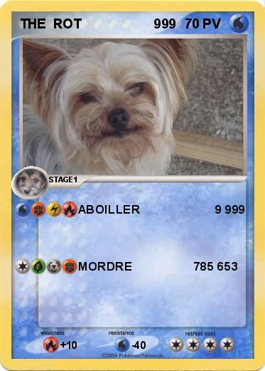 Pokemon THE  ROT                    999