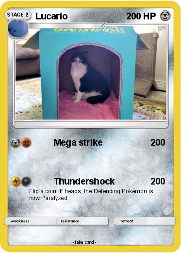 Pokemon Lucario