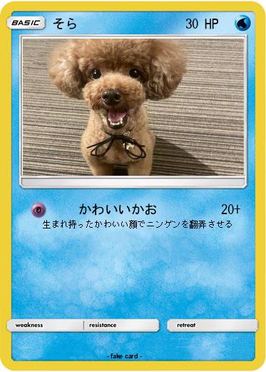 Pokemon そら