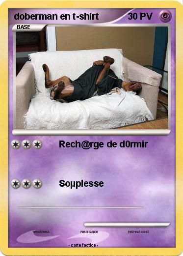 Pokemon doberman en t-shirt