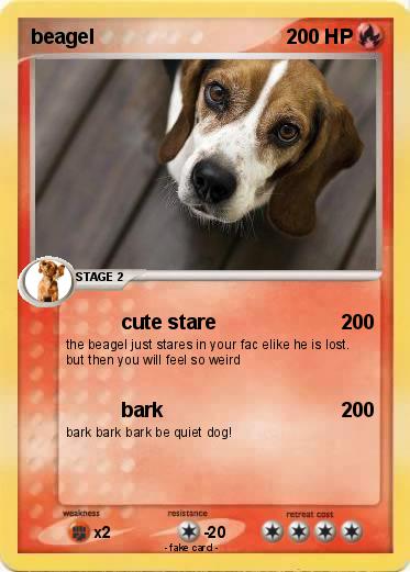 Pokemon beagel