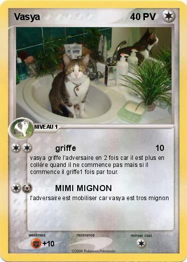 Pokemon Vasya