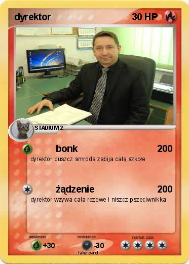 Pokemon dyrektor