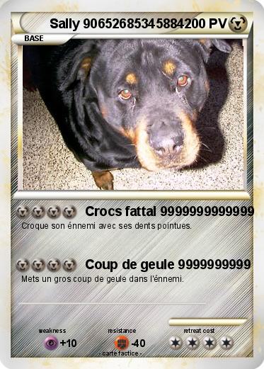 Pokemon Sally 90652685345884