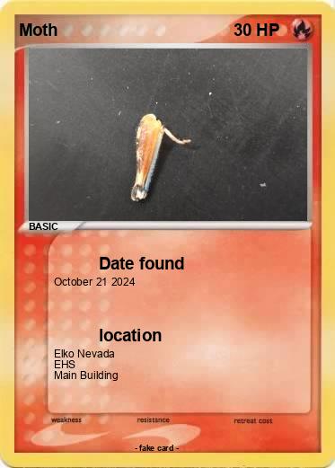 Pokemon Moth