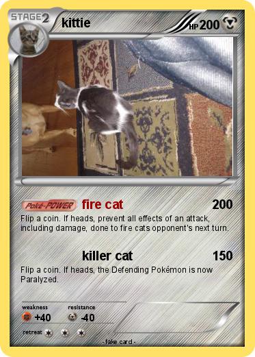 Pokemon kittie