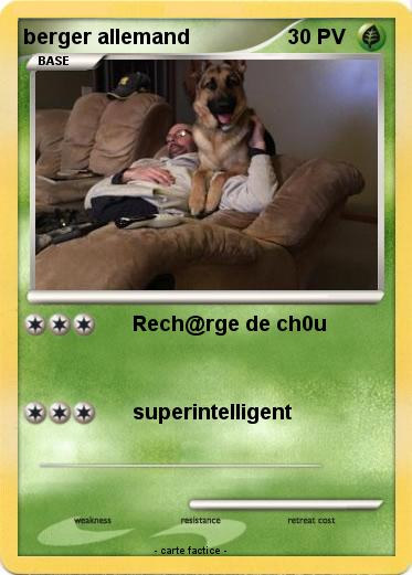 Pokemon berger allemand