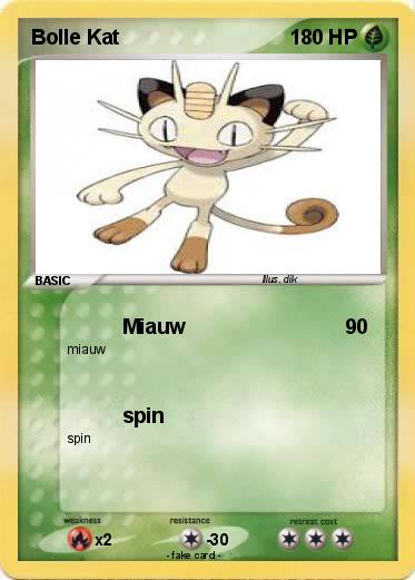 Pokemon Bolle Kat