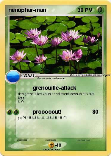 Pokemon nenuphar-man
