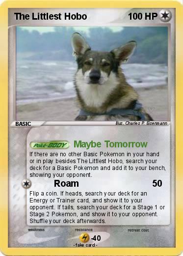 Pokemon The Littlest Hobo