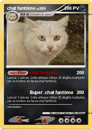 Pokemon chat fantôme