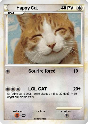 Pokemon Happy Cat