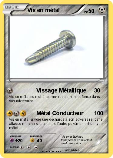 Pokemon Vis en métal