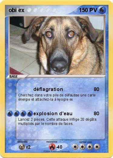 Pokemon obi ex