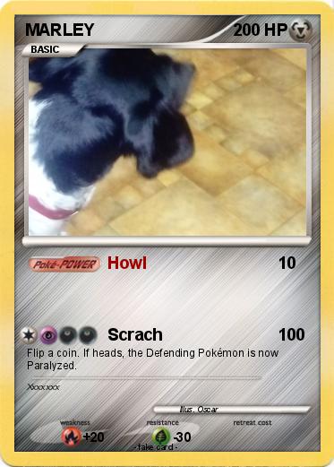 Pokemon MARLEY