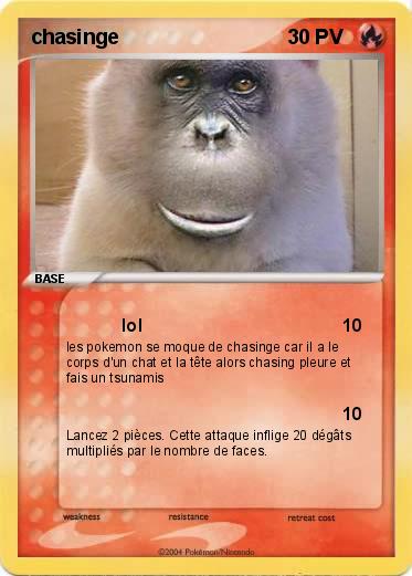 Pokemon chasinge