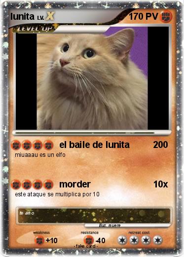 Pokemon lunita