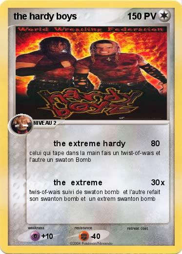 Pokemon the hardy boys