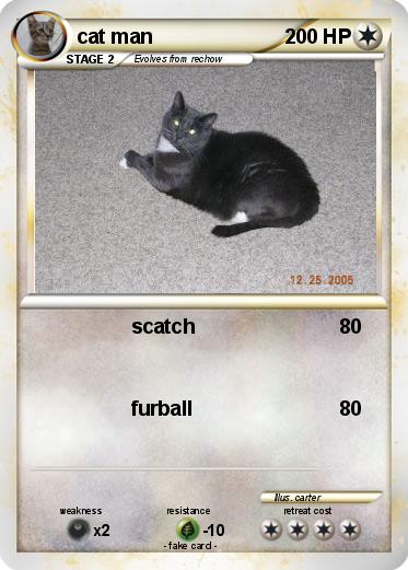 Pokemon cat man