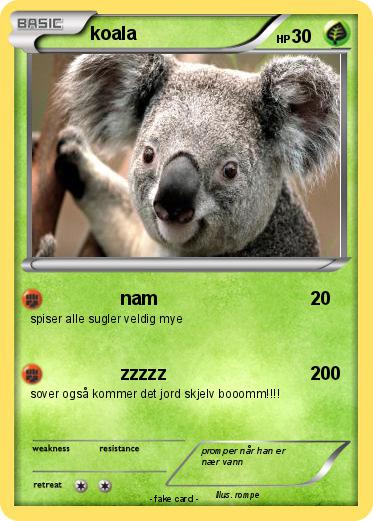 Pokemon koala