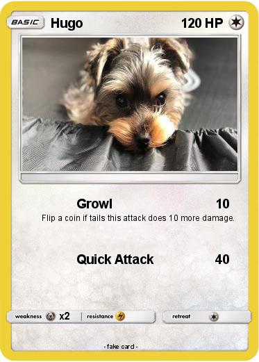 Pokemon Hugo