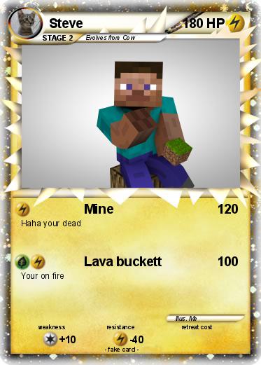 Pokemon Steve