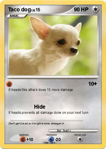 Pokemon Taco dog