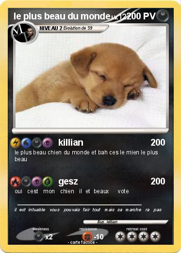 Pokemon le plus beau du monde