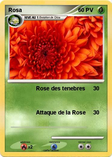 Pokemon Rosa