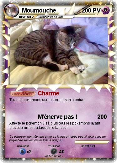 Pokemon Moumouche